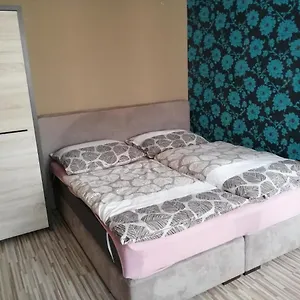 1+1 V Karlových Varech Apartmán